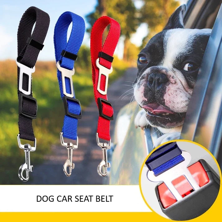 Dog Car Seat Belt - Safety on the Go