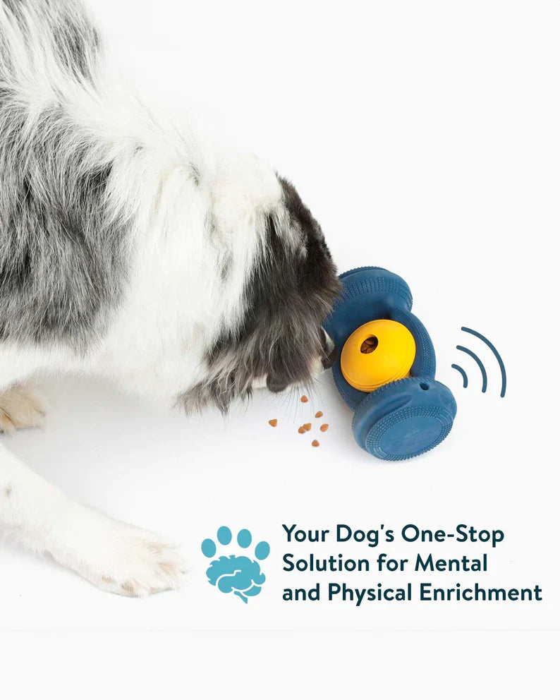 The ALL-in-One Dog toy
