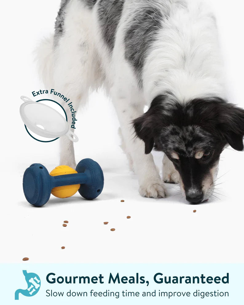 The ALL-in-One Dog toy