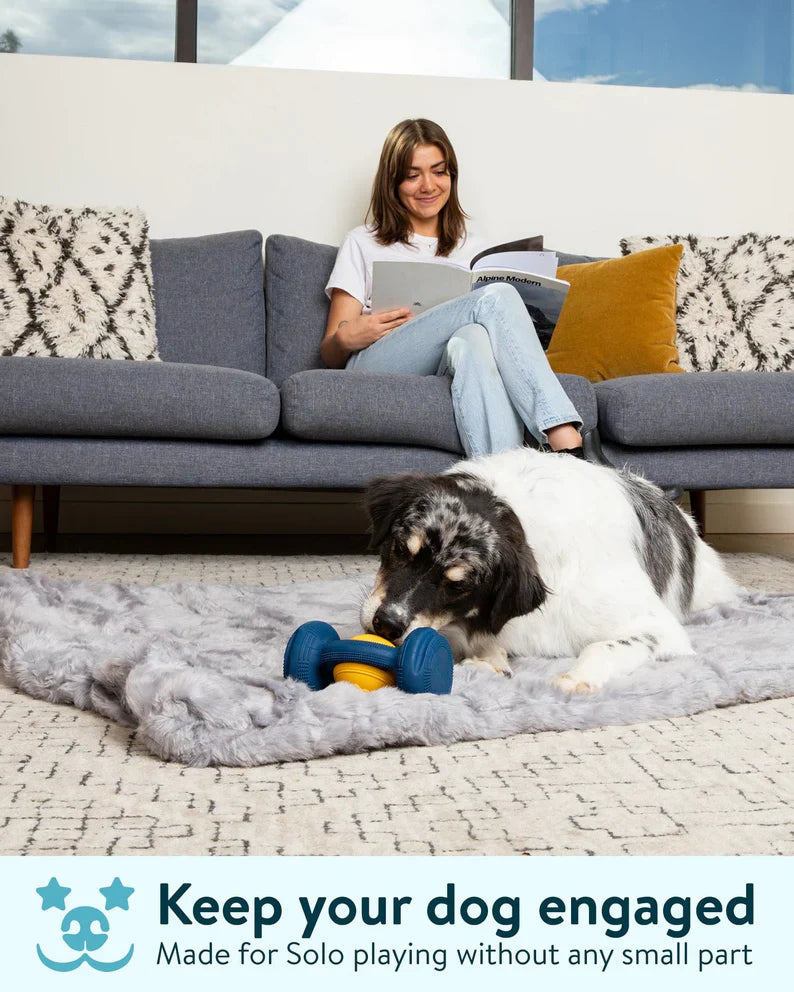 The ALL-in-One Dog toy