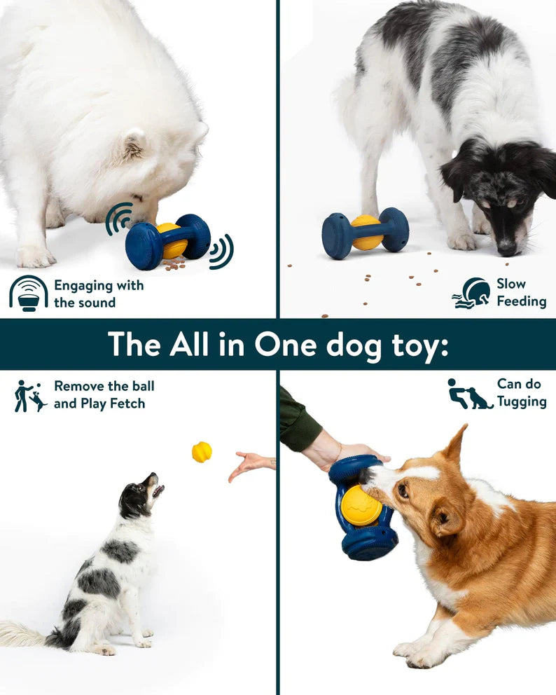 The ALL-in-One Dog toy